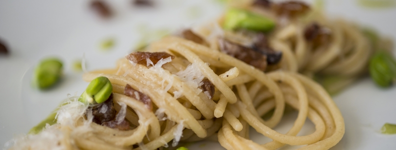 Spaghettoni fava beans and pecorino